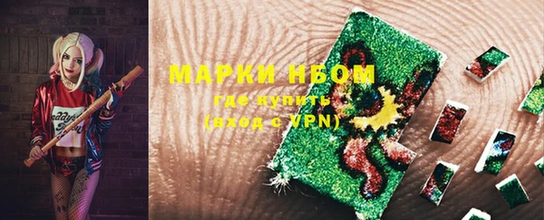 гашик Богородск