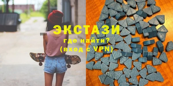 гашик Богородск