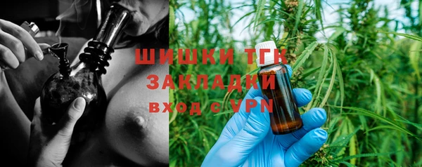 гашик Богородск