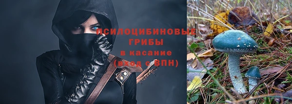 гашик Богородск