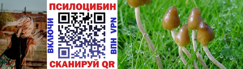 Псилоцибиновые грибы мухоморы  Новодвинск 